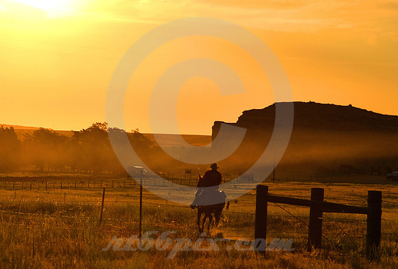 RE-RIDE #459 (Guernsey WY)