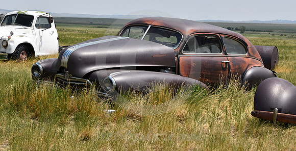 LOSE, PLACE & SHOW (Lincoln Highway Bosler WY)