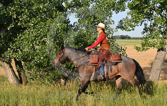 RE-RIDE #463 (Fort Laramie WY)