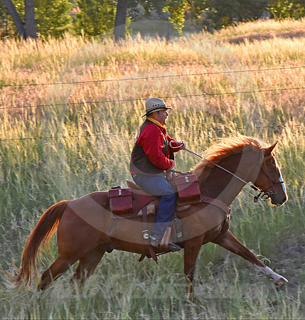 RE-RIDE #454 (Guernsey WY)