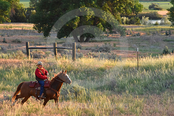 RE-RIDE #457 (Guernsey WY)