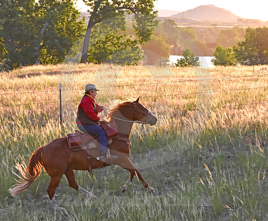 RE-RIDE #456 (Guernsey WY)