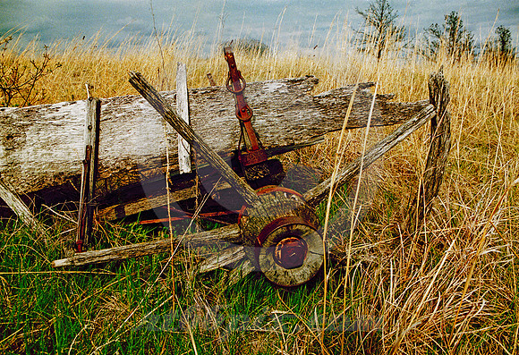 WAGON WHEEL REMNANT (nr Fairbury NE)