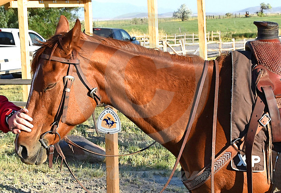 RE-RIDE #482 (Fairfield UT)