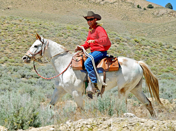 RE-RIDE #76 (nr Austin NV)