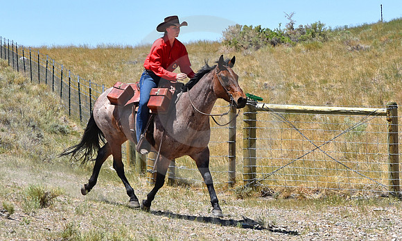 RE-RIDE #499 (nr Granger WY)