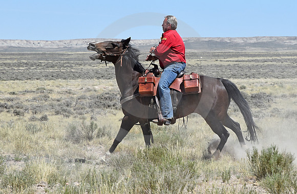 RE-RIDE #511 (nr Granger WY)