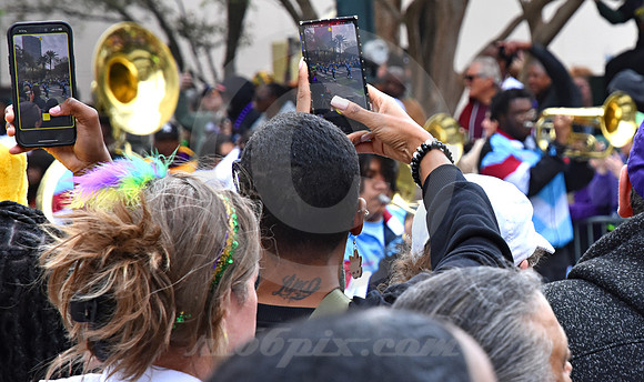 MARDI GRAS #366 (New Orleans LA)
