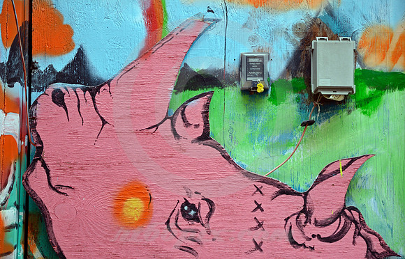 IN THE ALLEY (National Road Columbus OH)