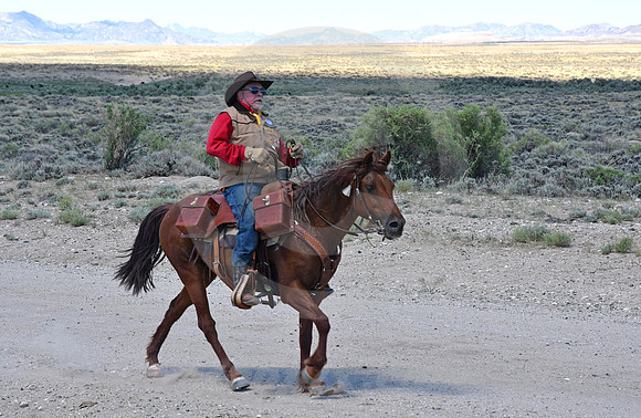 RE-RIDE #523 (central WY)