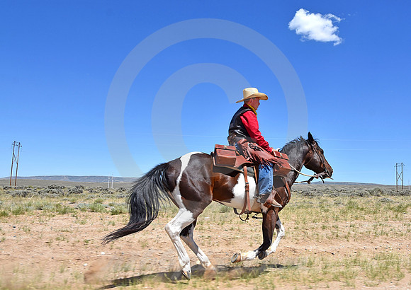 RE-RIDE #525 (Oregon Trail WY)