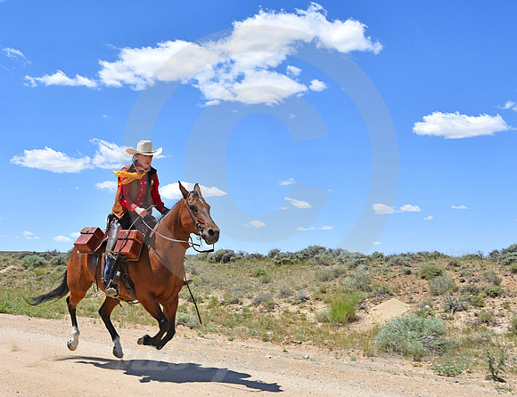 RE-RIDE #532 (Oregon Trail WY)