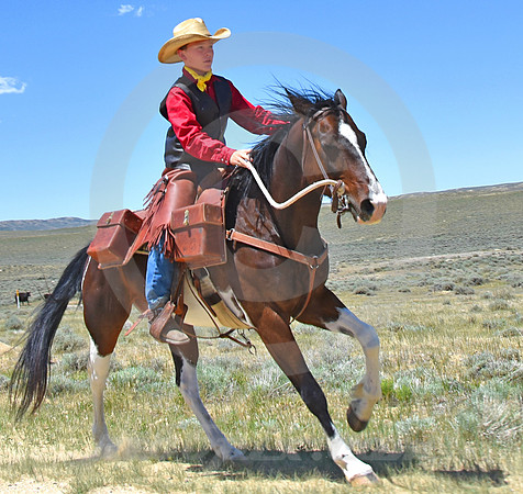 RE-RIDE #539 (Oregon Trail WY)