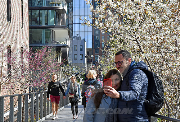 HIGH LINE #1 (New York)