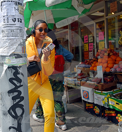 CHINATOWN #10 (New York)