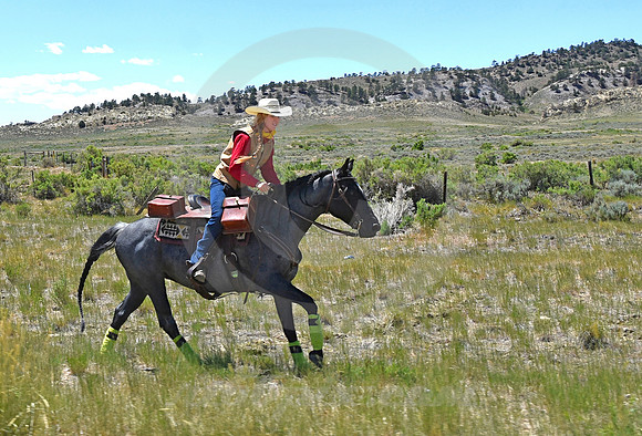 RE-RIDE #542 (Oregon Trail WY)