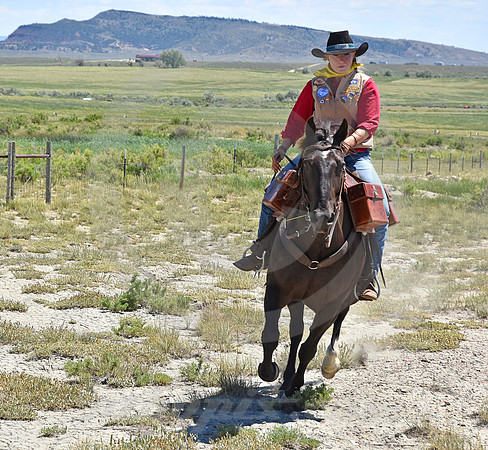 RE-RIDE #543 (Oregon Trail WY)