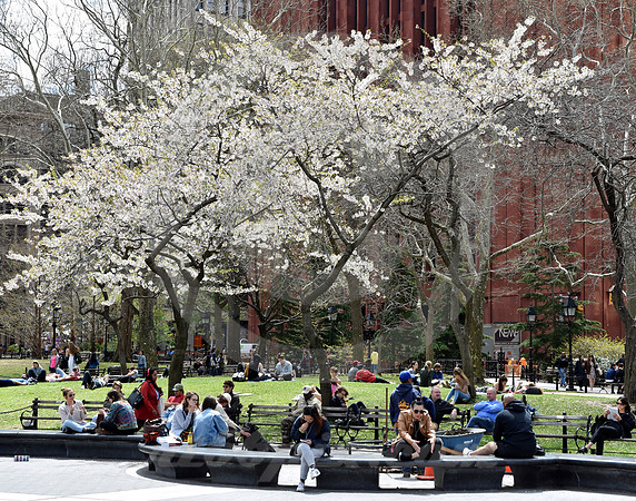 GREENWICH VILLAGE #4 (New York)