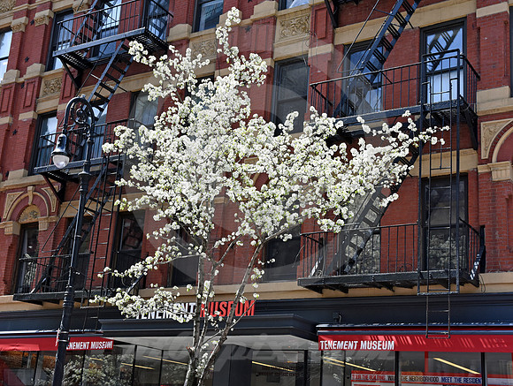 LOWER EAST SIDE #45 (New York)