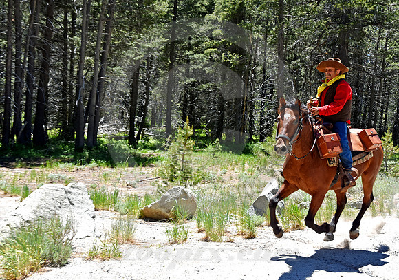 RE-RIDE #97 (nr Twin Bridges CA)