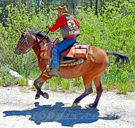RE-RIDE #100 (nr Twin Bridges CA)