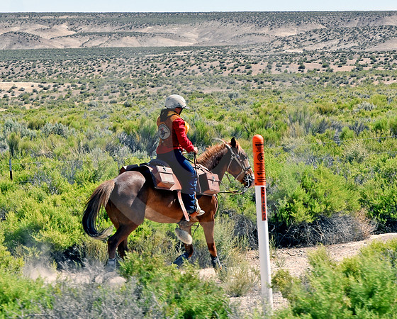 RE-RIDE #108 (nr Middlegate NV)