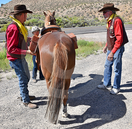 RE-RIDE #110 (nr Middlegate NV)