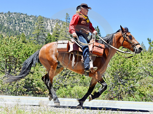 RE-RIDE #113 (nr Luther Pass CA)