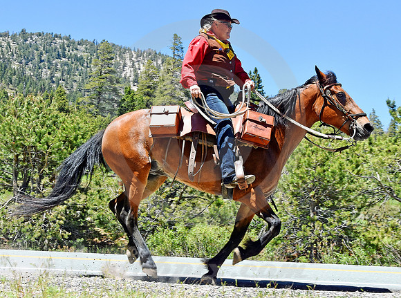 RE-RIDE #114 (nr Luther Pass CA)