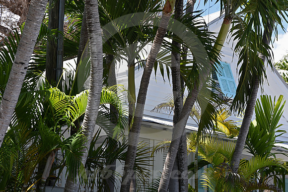 KEY WEST #12 (Key West FL)