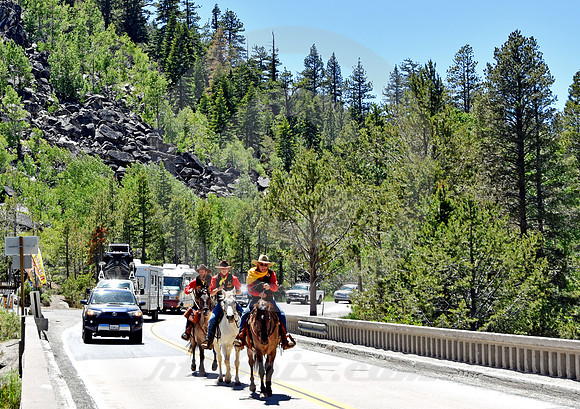 RE-RIDE #123 (nr Woodfords CA)