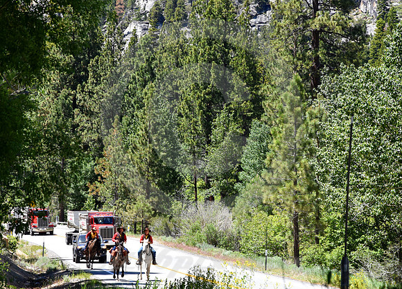 RE-RIDE #126 (nr Woodfords CA)