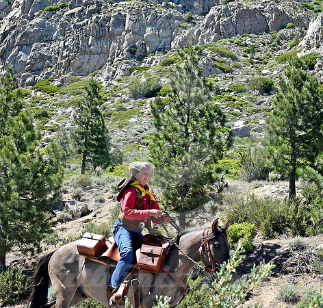 RE-RIDE #129 (nr Woodfords CA)
