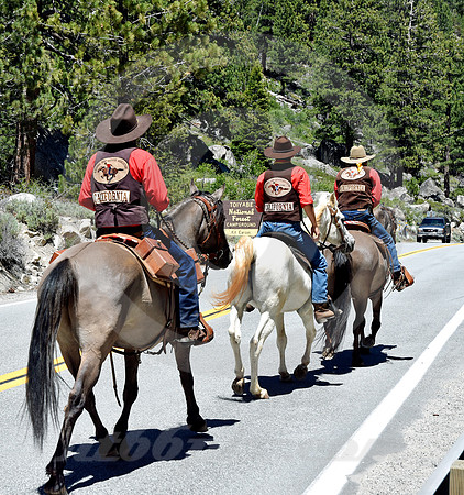 RE-RIDE #125 (nr Woodfords CA)