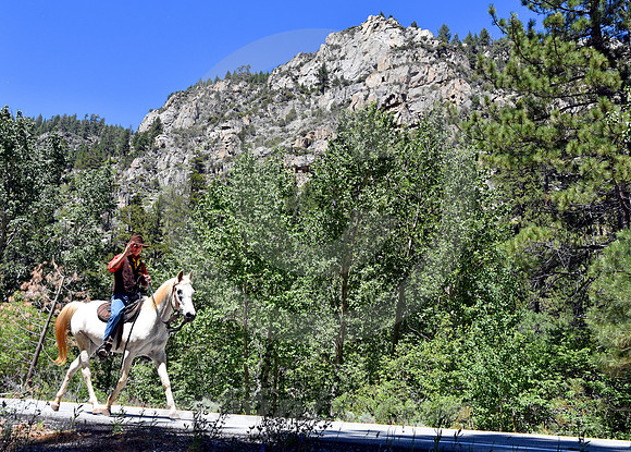 RE-RIDE #127 (nr Woodfords CA)