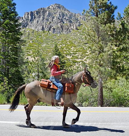 RE-RIDE #128 (nr Woodfords CA)
