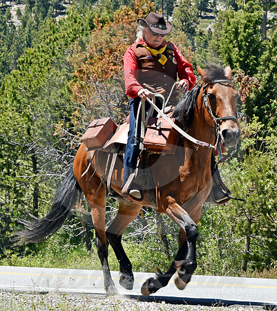 RE-RIDE #116 (nr Luther Pass CA)