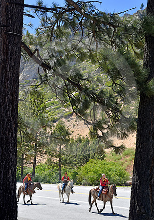 RE-RIDE #132 (nr Woodfords CA)