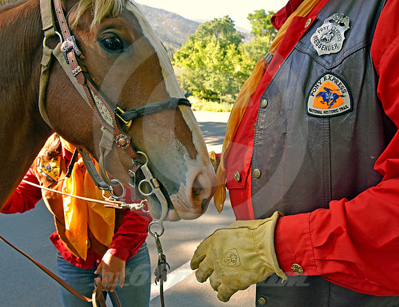 RE-RIDE #143 (Genoa NV)