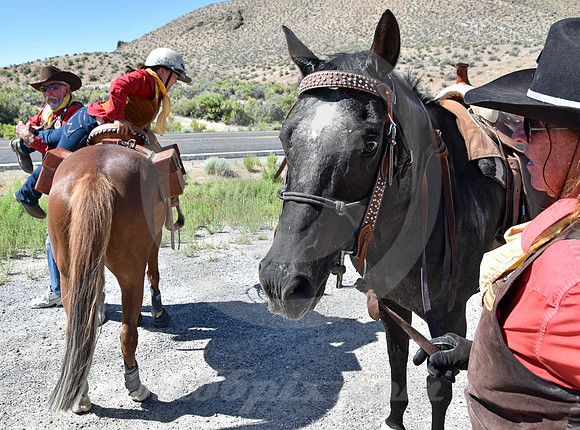 RE-RIDE #147 (nr Middlegate NV)