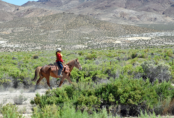 RE-RIDE #148 (nr Middlegate NV)