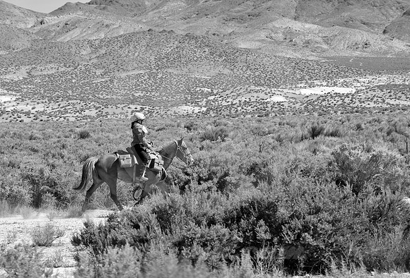 RE-RIDE #149 (nr Middlegate NV)