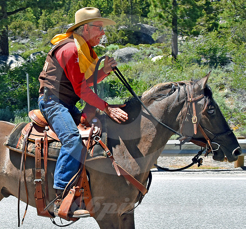 RE-RIDE #158 (nr Woodfords CA)