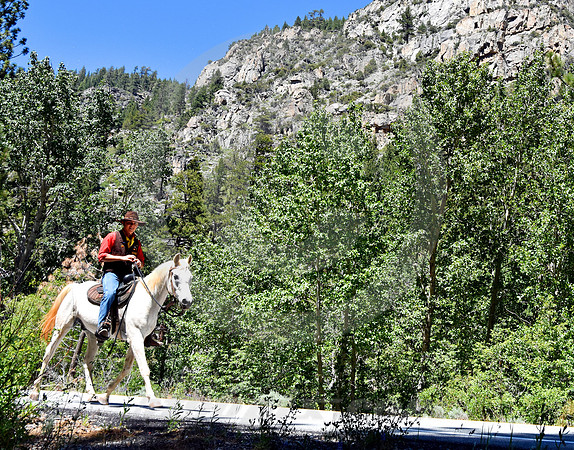 RE-RIDE #159 (nr Woodfords CA)