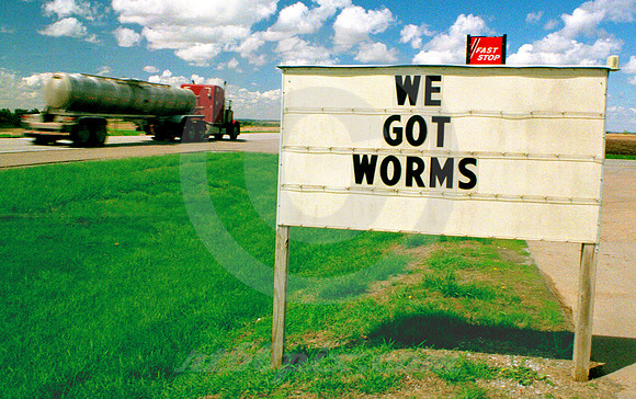 WE GOT WORMS (US 75 NE)