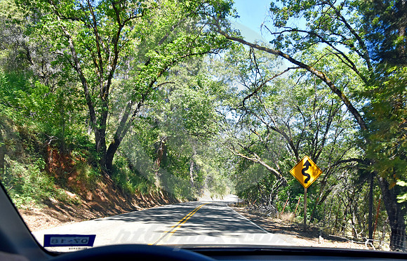 CURVES & CANOPY (Lincoln Highway nr Pacific CA)