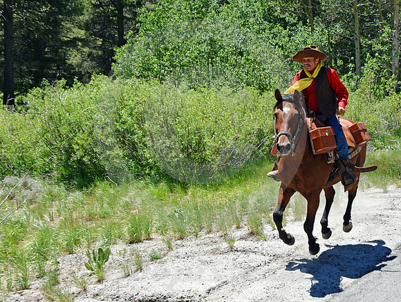 RE-RIDE #179 (nr Twin Bridges CA)