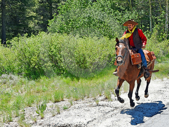 RE-RIDE #180 (nr Twin Bridges CA)