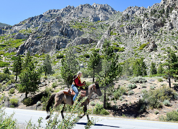 RE-RIDE #161 (nr Woodfords CA)