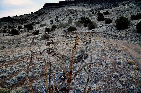 GRACEFUL CURVE (Rt 66 La Bajada NM)